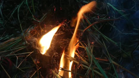 movimiento de fuego caliente quema basura