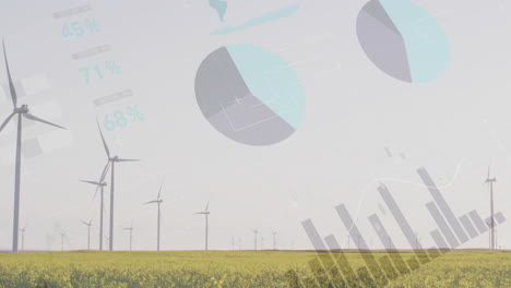 wind turbines in field with pie charts and graphs, renewable energy data analysis animation