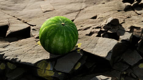 watermelon fruit berry on rocky stones