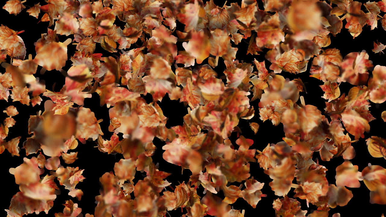 Falling Autumn Leaves Backround Loop with Alpha Transparency