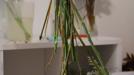 los tallos de varias flores en un ramo