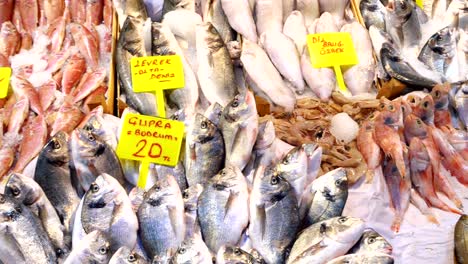 showcase with seafood in ice at fish market.. counter with various exotic seafood, fish, crabs, clams, shrimps and more. sea food and fish market 4k