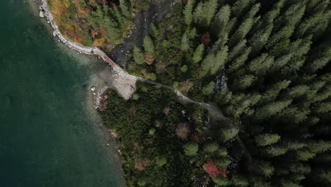 Antena-De-Pinos-Mientras-Se-Camina-En-El-Lago-Morskie-Oko-En-Zakopane,-Polonia