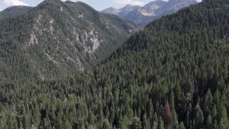 Montañas-Wasatch-En-El-Cañón-De-La-Bifurcación-Americana,-Increíble-Vista-Aérea-De-Drones