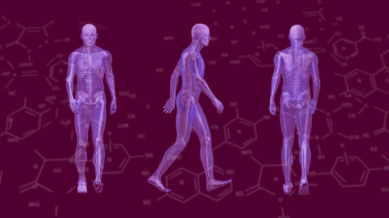 animación de estructuras químicas sobre tres modelos de cuerpo humano caminando contra un fondo púrpura