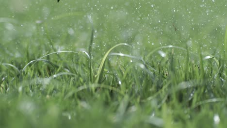 el club de golf golpea una pelota de golf blanca en una cámara súper lenta. gotas de rocío matutino y partículas de hierba se elevan en el aire después del impacto. filmado en una cámara de super cámara lenta de 1000 fps.