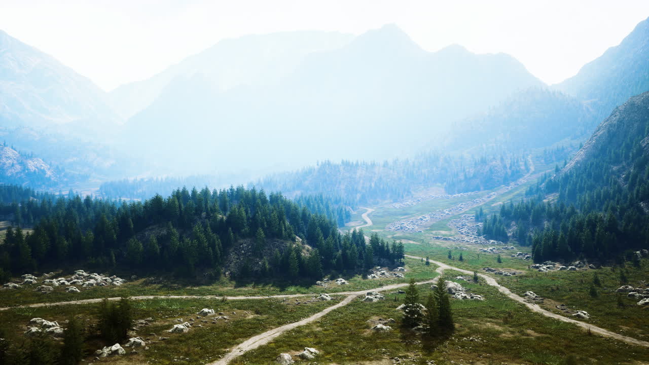 camino de montaña sinuoso sobre prados alpinos en el borde del bosque