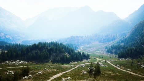 Sinuoso-Camino-De-Montaña-Sobre-Prados-Alpinos-Al-Borde-Del-Bosque