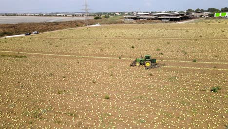 drone shot of a tractor arranging watermelons in rows for picking.
the field is filled with thousands of ripe watermelons ready to be picked.
israeli agricultural landscape