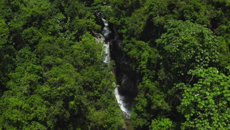 panorámica aérea espectacular de agua estrellándose a través de árboles verdes brillantes en saltos jima cascada en república dominicana