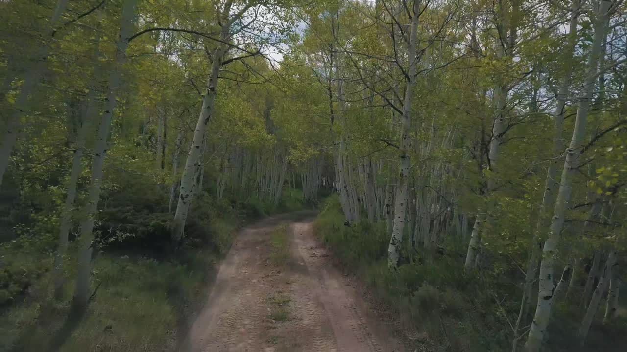 carretera de montaña en el verano