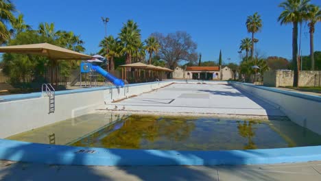 ägyptische-Gans-In-Einem-Leeren-Schwimmbad-Mit-Babygänschen-An-Einem-Sonnigen-Tag