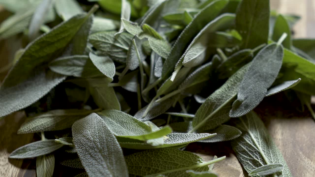 Fresh Sage Leaves