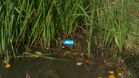 Contaminación-Humana,-Un-Desastre-Ecológico