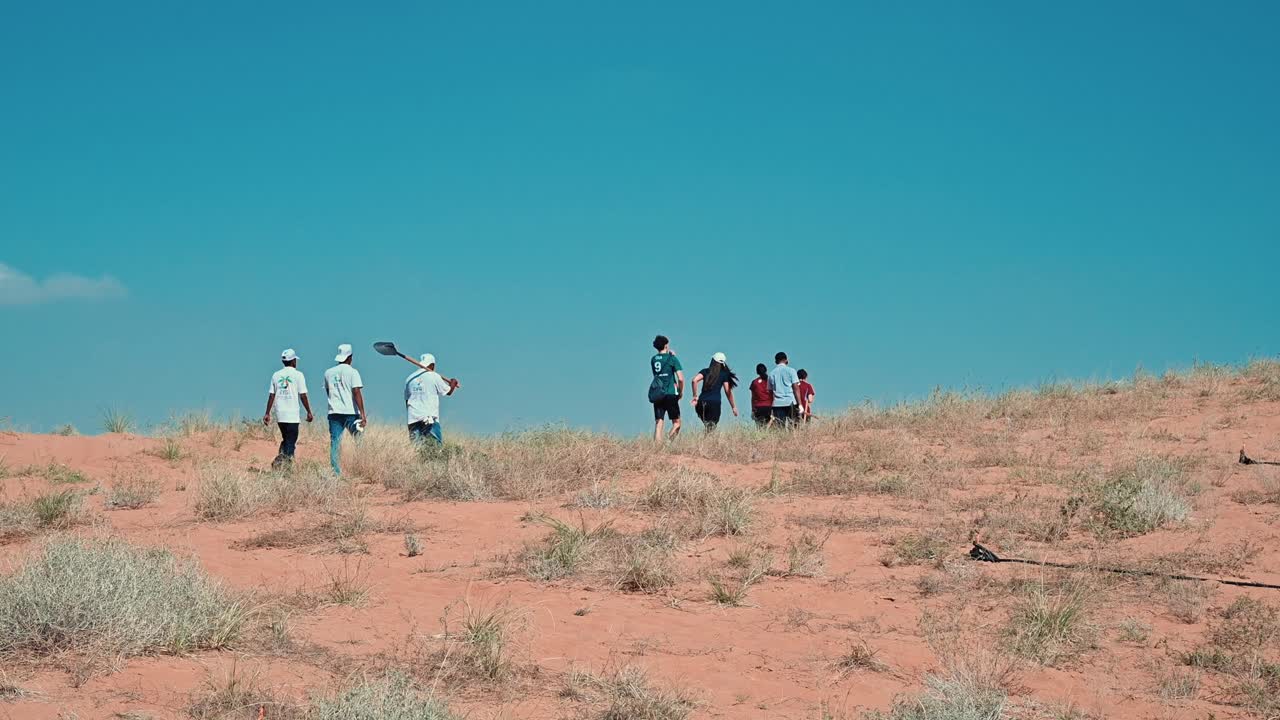 People planting trees in Sharjah's desert as part of the UAE's 'Plant the Emirates' initiative