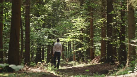 a man in a white shirt stands alone on a path in a sunlit green forest, seemingly in deep thought. after a moment of contemplation, he begins to walk away, symbolising a decision or a new journey.