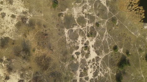 mewia lacha nature reserve, drone flying directly above crusty spotty cracked land surface