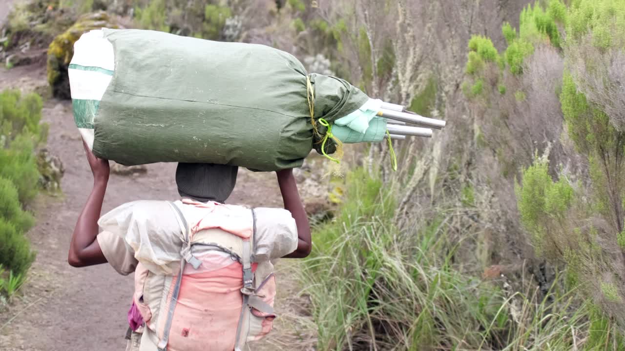 포터들은 무거운 장비를 머리 위에 고 아프리카 알파인 습지를 가로질러 시어 캠프로 올라갑니다.