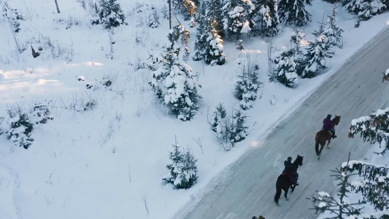 vista aérea de personas montando caballos a lo largo del camino en el bosque de invierno