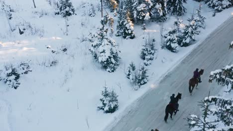 Luftaufnahme-Von-Menschen,-Die-Auf-Dem-Weg-Im-Winterwald-Reiten