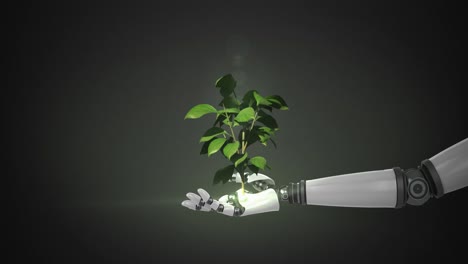 Roboterhand-Präsentiert-Digitale-Grüne-Pflanze,-Die-Vor-Schwarzem-Hintergrund-Wächst