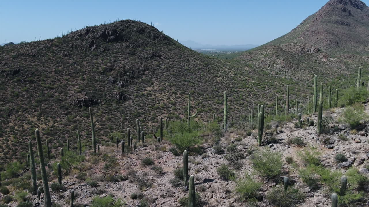Drone flight through mountains near Tucson, Arizona with saguaro cacti