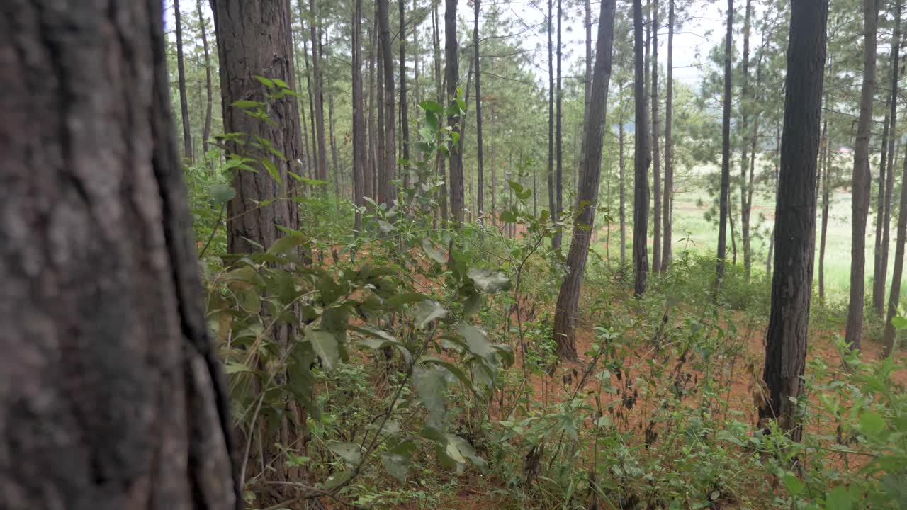 cazador africano acechando presas en un bosque mientras lleva un arco y una flecha de madera tradicionales