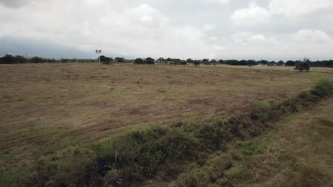 Scenic-view-over-arid-fields-with-trees-in-the-background-and-a-flag-waving-in-the-wind