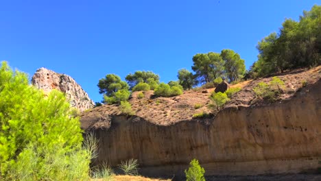 big mountains and beautiful green nature park with blue sky in el chorro near malaga, spain