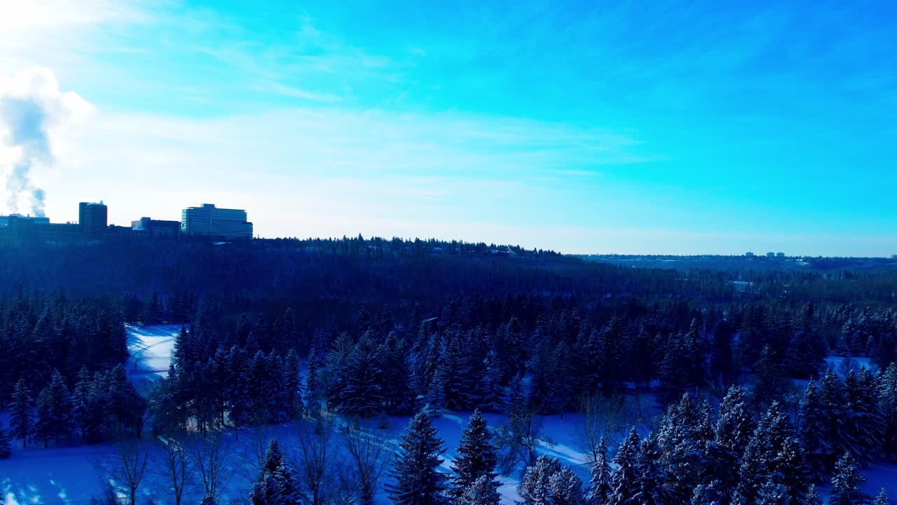 맑고 푸른 하늘 1-2에 강당 건물에서 증기 펌핑과 함께 수평선에 앨버타 대학과 화창한 날에 겨울 눈 덮인 소나무 전나무 눈 덮힌 골프 코스