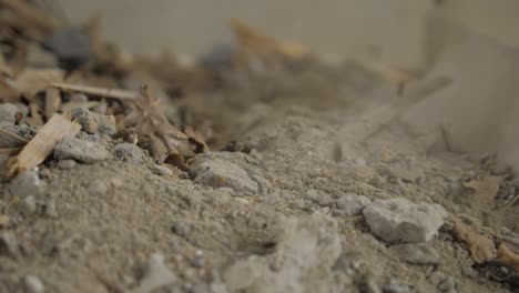 ultra-slow-motion-close-up-video-of-a-construction-worker-picking-up-gravel-with-a-shovel