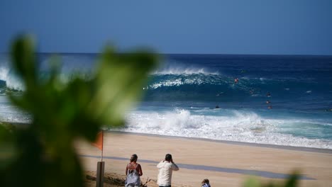 perfect wave breaking and spitting with leafs on the foreground