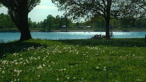 Zagreb's-Jarun-Lake:-tranquil-waters,-vibrant-greenery,-and-a-lone-individual-soaking-up-the-sunny-ambiance