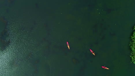 aerial drone fly above tropical green sea bay with red yellow canoes paddling