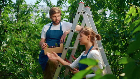 dos agricultores discutiendo el proceso de cultivo sobre el concepto de plantación orgánica verde