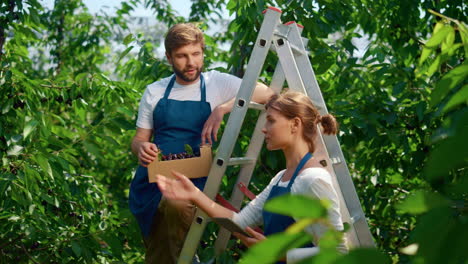 two farmers discussing cultivation process on green organic plantation concept