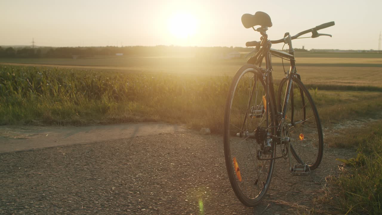 An vintage bike stands at the end of an country road near a corn field on a sunny evening with beautiful backlight