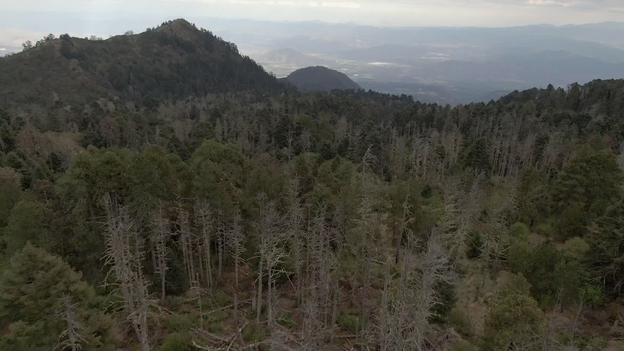 volar sobre el bosque alpino y las montañas con cielo nublado en el parque nacional nevado de colima, jalisco, méxico