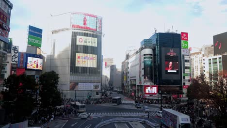 the best views in tokyo