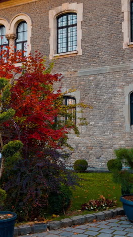 red, yellow and green trees growing in front of the old building. unrecognized woman in leather jacket heads to the entrance into the palace. vertical video