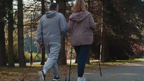 rear view of caucasian senior couple nordic walking in the park