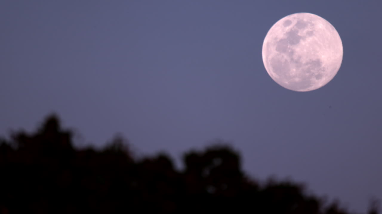 full moon with slow motion tree movement