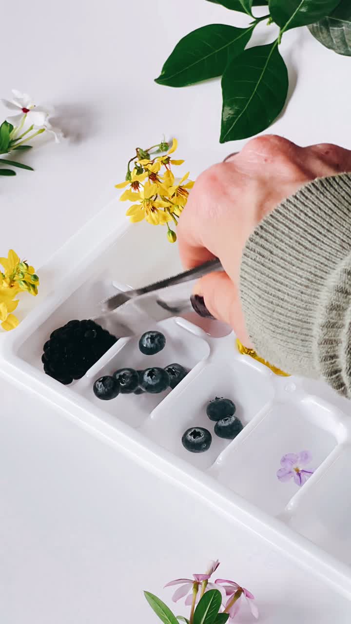 Fremstilling af isterninger med blomster og frugt