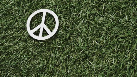 Close-up-of-white-peace-sign-with-copy-space-on-grass-background