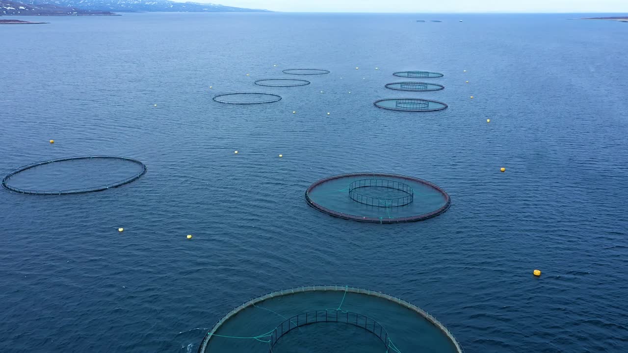 노르웨이에서 연어  ⁇ 시를 하는 공중 촬영