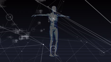 animation of data processing over skeleton