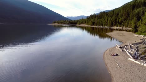 mujer con su perro de compañía sentada cerca de la costa del río en un día soleado 4k 4k