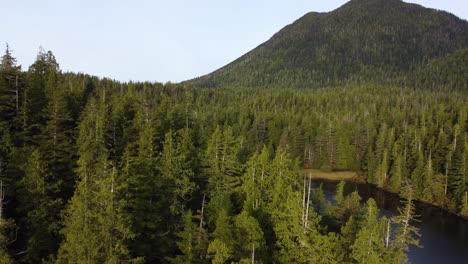 A-cinematic-drone-shot-of-the-forest-and-ocean-of-Meares-Island-in-Clayoquot-Sound,-near-Tofino-BC,-in-British-Columbia-Canada