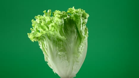 fresh raw green lettuce rotating over green background