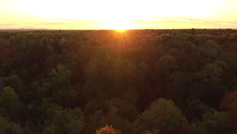 Drone-flying-towards-sunset-over-tree-canopy-of-a-forest-in-autumn